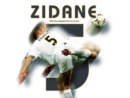 zizo